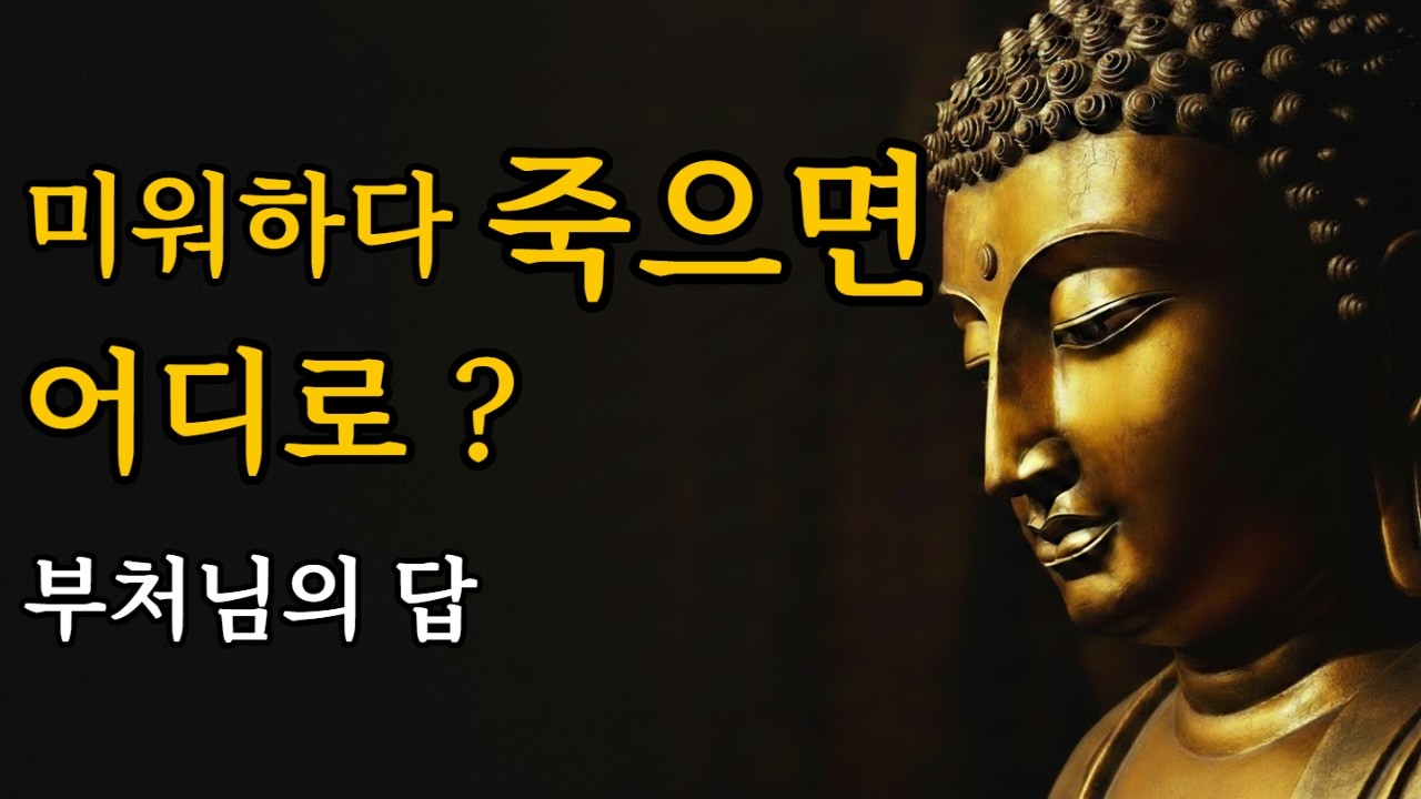 60년 원한 품은 사람의 최후 | 부처님이 밝힌 용서의 진실#불교 #부처님 #법문 #용서 #원한 #분노 #업보 #윤회 #자비명상 #깨달음