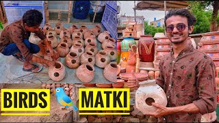 how to breeding Birds progress || of large bird /java matki || complete 😍 season Bird ready .