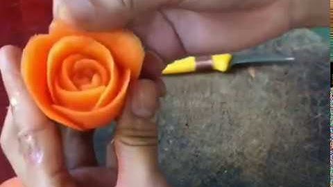 Tỉa hoa hồng từ cà rốt p2 |