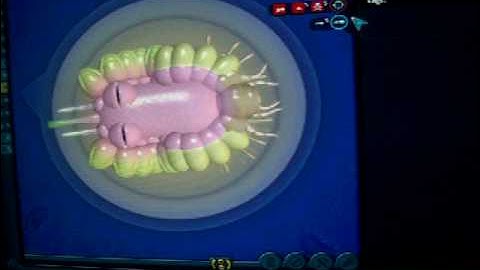 Spore Again: Space Part 3