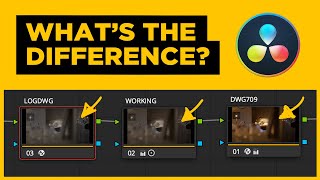 Mastering Color Management in DaVinci Resolve: Input, Working, and Output Color Spaces Explained.