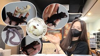 그만둔 직원이 작정하면 생기는일. 진짜 시간가는줄 모르고 봤습니다