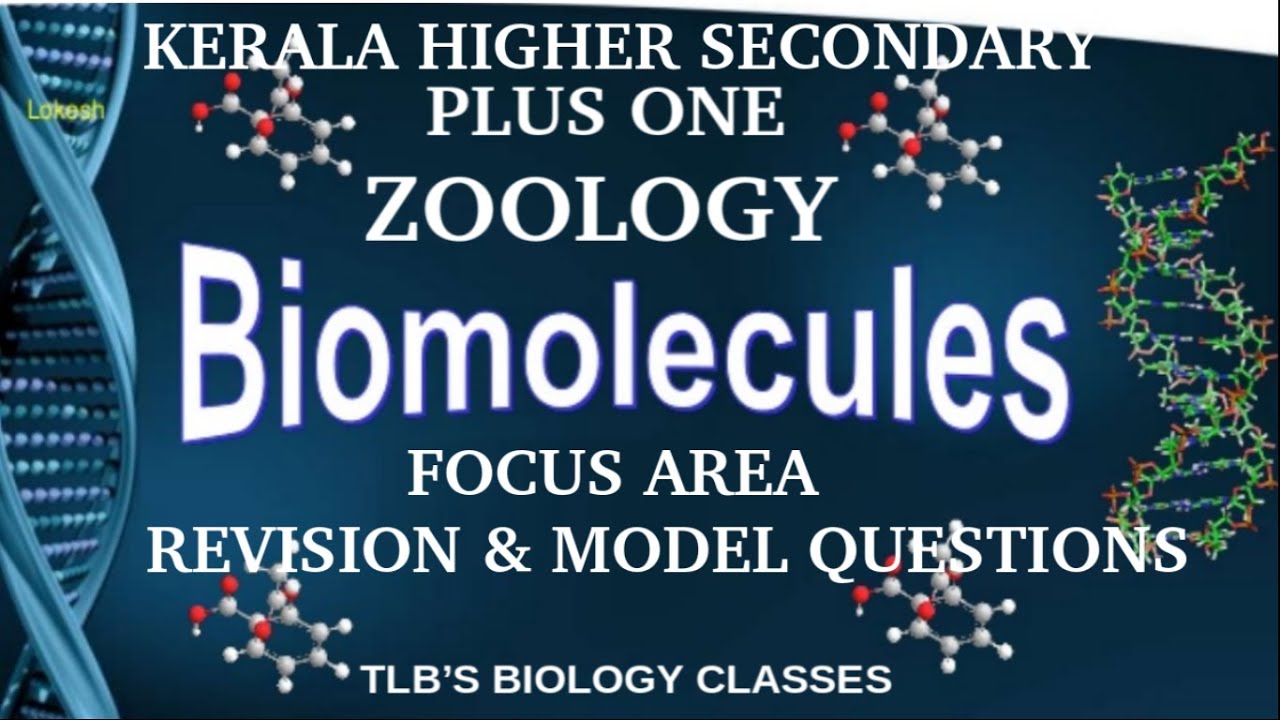 Biomolecules Focus Area RevisionModel Questions Plus One Zoology