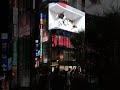 3D Cute cat in Tokyo Shinjuku // 東京新宿駅前 #japan #travel #walk #shortsfeed #shortsyoutube #tokyo