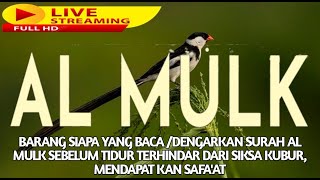 MUROTTAL MERDU SURAT AL MULK PENYEJUK HATI SURAH AL MULK FULL, TERHINDAR DARI SIKSA KUBUR