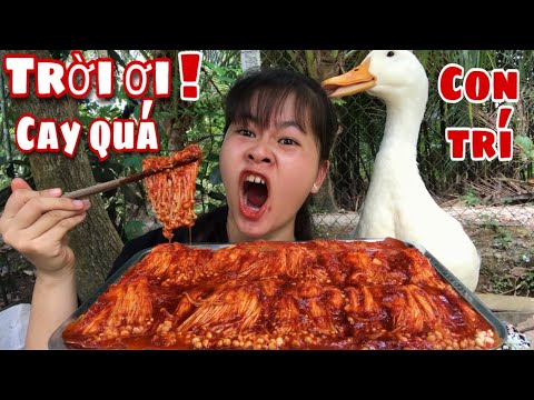 Video Cay Xịt Khói Nấm Kim Châm Sốt Ớt Hàn Quốc. Bim Bim Bắt... - youtube