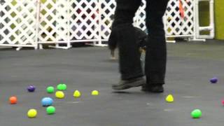 Nose Work Level 2--Easter Egg Hunt