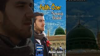 Fatih Özer -  Neredesin Efendim Resimi