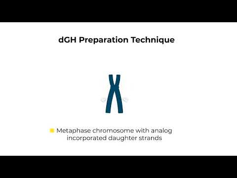 What is dGH - video from KromaTiD