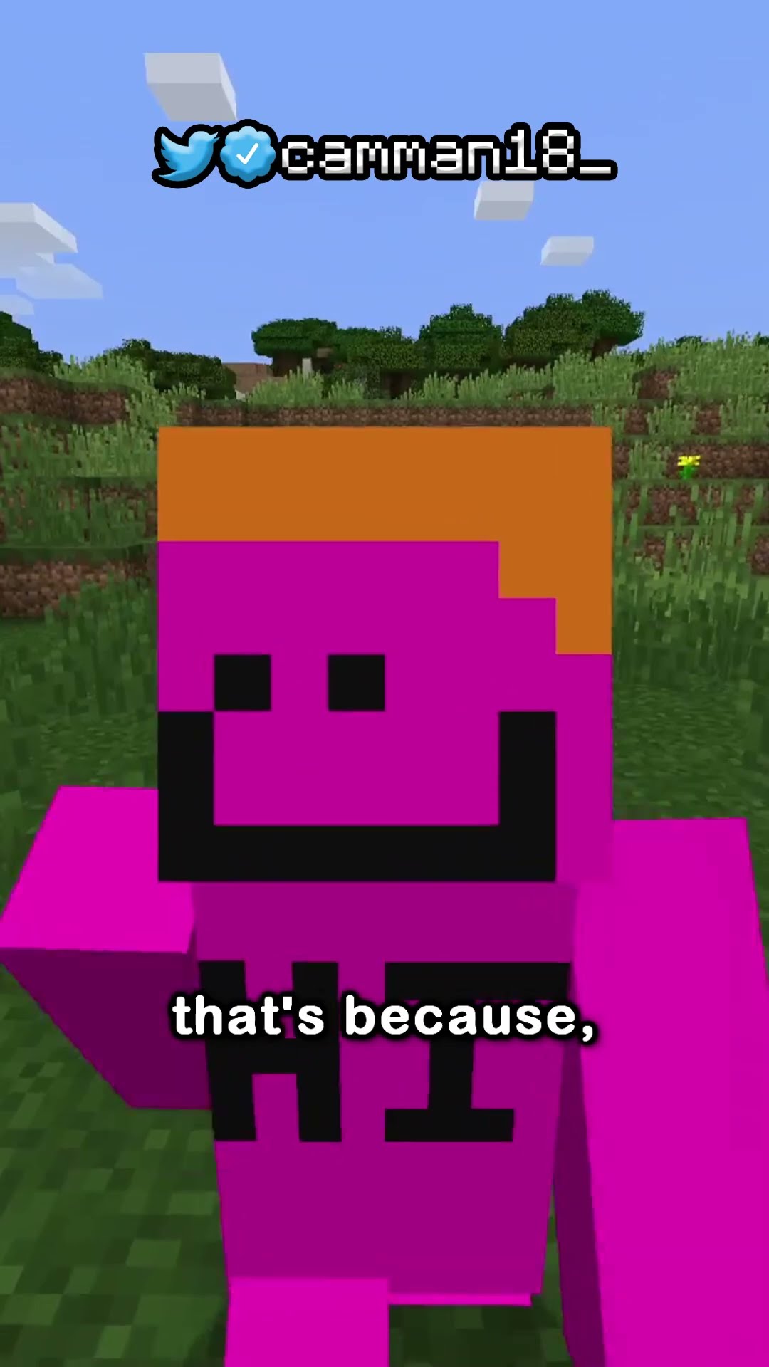 The Rarest Chest in Minecraft...