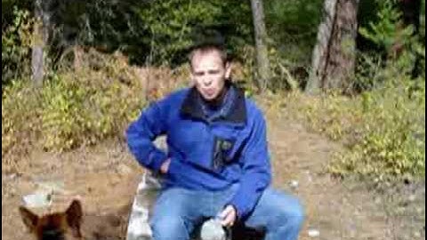 An Introduction to Clicker Training Your Dog