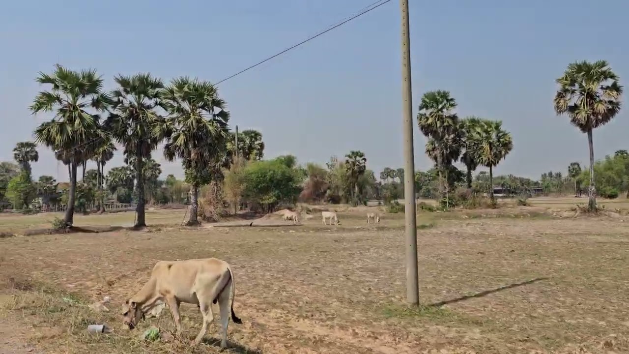 Sre district, Kampong Chhnang province