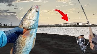 Easiest Place to Catch a LIMIT!! JFK Causeway Corpus Christi, TX