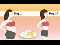 Boiled Egg Diet For Weight loss | Loss 5 kg every week via Youtube