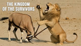 Namibia – The Blazing Inferno, the Last Wild Paradise on Earth