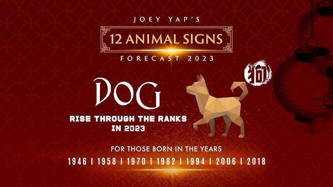 Chinese New Year: ushering in the Year of the Dog - NŌBL