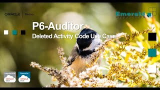 P6-Auditor - Deleted Primavera P6 Activity Code Use Case