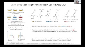 [TALK 20] Quantitative Proteomics and Omics Data Analysis – Holger Kramer
