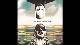 Video-Miniaturansicht von „A Common Wonder - I Was Made to Love H.E.R. (Prod. Amerigo Gazaway)“