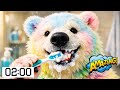 Brush Like A Rainbow Polar Bear Toothbrushing Song | Magic Toothbrush Timer