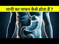 पानी कैसे पचता हैं - how water is absorbed in body