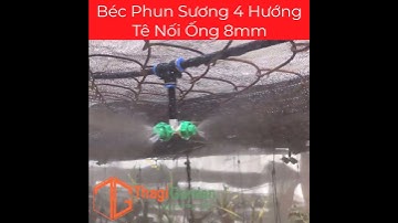 Béc Tưới Phun Sương 4 Hướng Ống 8mm