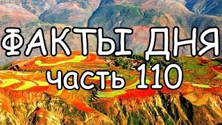 ФАКТЫ ДНЯ. Интересная информация для Вашего ума (Часть 110)