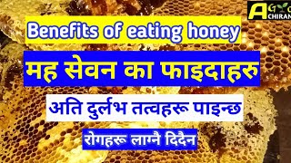  मह खानुका फाइदा जानेर छक्कै पर्नुहुनेछ, रोगहरुलाइ‌ जित्ने रहेछ | Benefits of eating Honey | ️