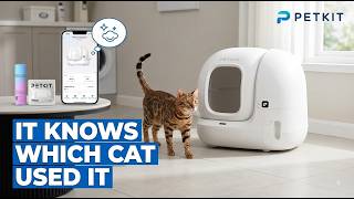 15 Days Without Touching the Litter Box