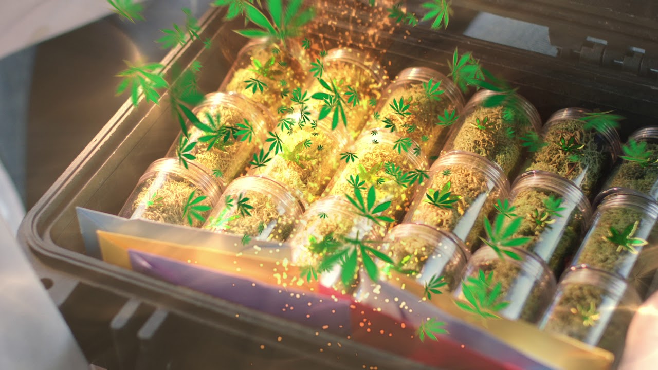 MILFriend Comedy Teaser - It's SMOKE it UP time!