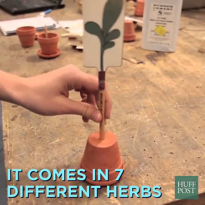 Amazing Pencil Turns Into A Plant When Buried YouTube