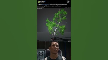 Procedural Birch Tree Generator in Blender Geometry Nodes