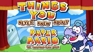 Obscure Things you DIDN'T KNOW about Paper Mario: TTYD!