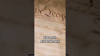 Celebrity Eleventh Amendment to the Constitution Profile
