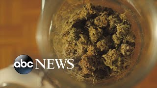Legal marijuana sales begin in New Jersey l ABCNL