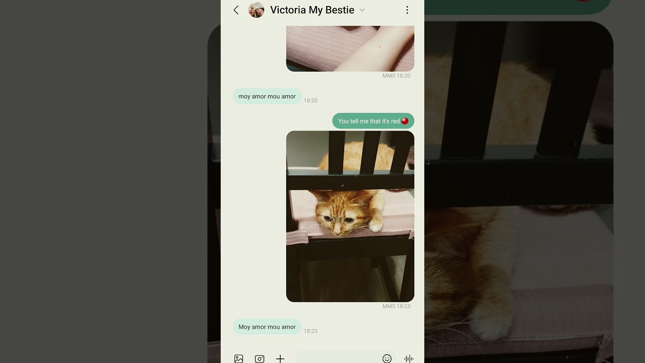 me and my bestie be like 