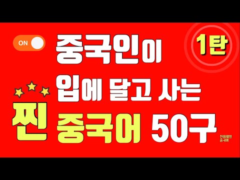 중국인이 입에 달고 사는 찐 중국어 50구 1탄 | 중국어 쉐도잉