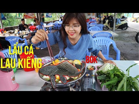 LẨU CÁ LAU KIẾNG ĐẶC SẢN LÀNG CHIẾU ĐỊNH YÊN Ở LẤP VÒ ĐỒNG THÁP - asian food | YẾN TRẦN TV