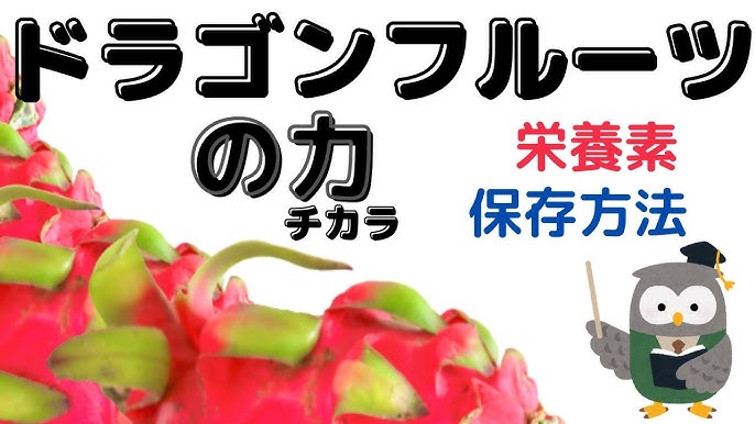 ドラゴンフルーツの力 ドラゴンフルーツの栄養素や保存方法などを分かりやすく紹介 Youtube