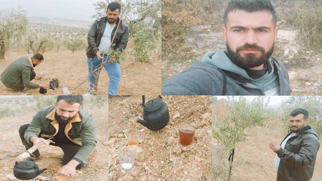 رحنا ع الأرض مع محو كسحنا شتل زيتون | عملنا شاي و رحنا ع جورتك أجمل منطقة بضيعتنا😍👇🏽