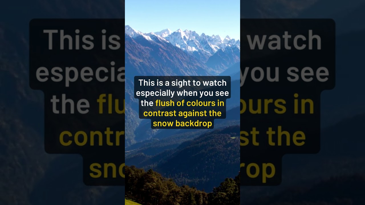 Kedarkantha trek in March | Spring season 