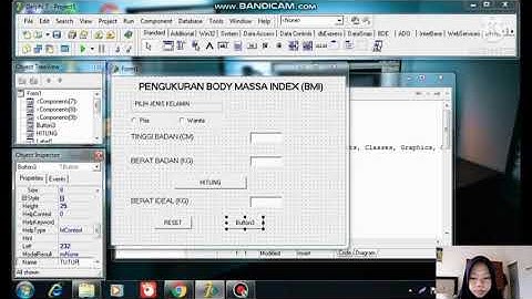 Pengukuran Body Massa Index (BMI) dengan menggunakan Delphi7