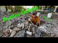 Digging an Amazing North Florida Bottle Dump