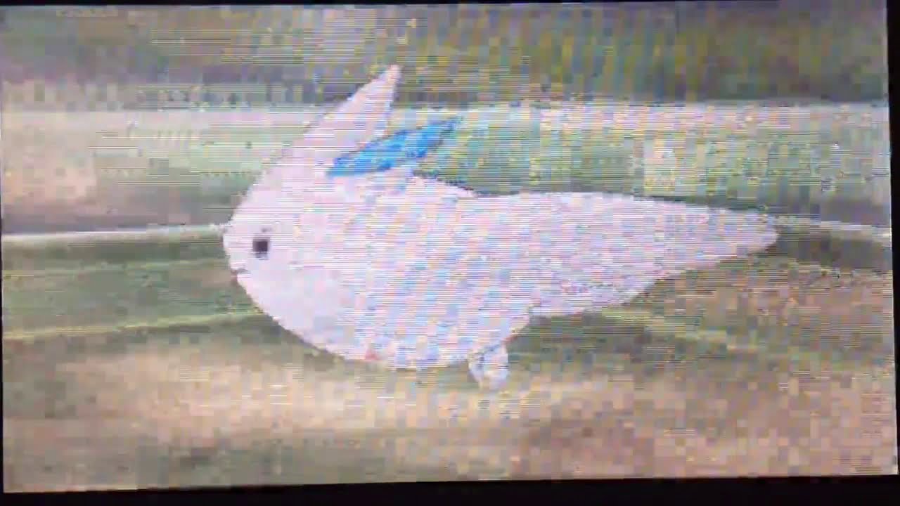 Pokemon USUM  / Kampfplaza Battle 3vs3  / Showdown Megaknakrack und Megadespotar