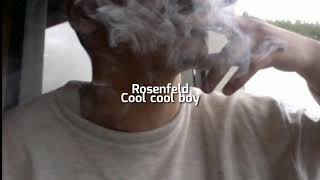 Rosenfeld - Cool cool boy // legendado