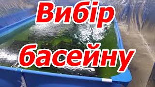 Вибір басейну для вирощування креветки Розенберга.