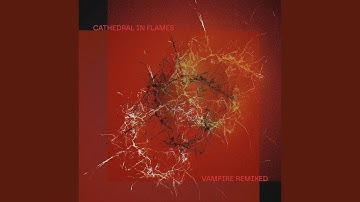 Not Another Vampire Song (Sabiani Remix)