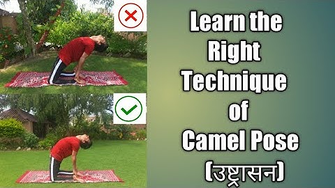 Learn Camel Pose (उष्ट्रासन) with right Alignment