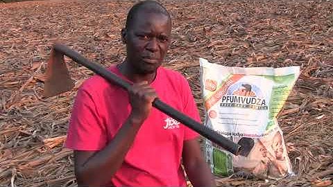 PFUMVUDZA PROMO VIDEO