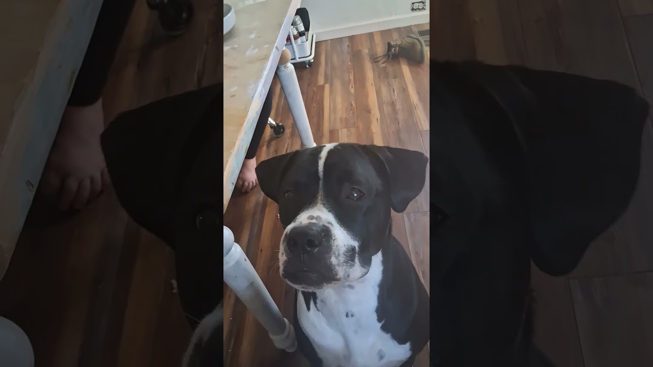 Charles so cute ❤️ 